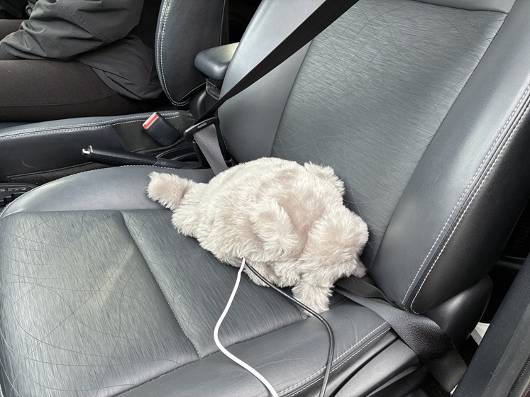 助手席に同乗するドラにゃむ